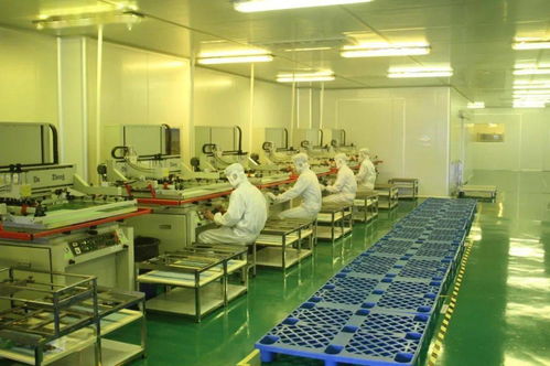 中共湛江市委十一屆十次全會工作報(bào)告要點(diǎn) 深化人力資源服務(wù)，規(guī)范職業(yè)中介活動(dòng)，賦能高質(zhì)量發(fā)展